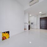 Eon Shenton D02 Chinatown / Tanjong Pagar Condo Singapore